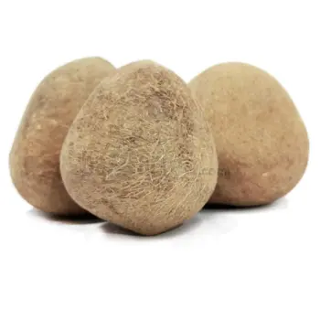 Fresh Dried Coconut